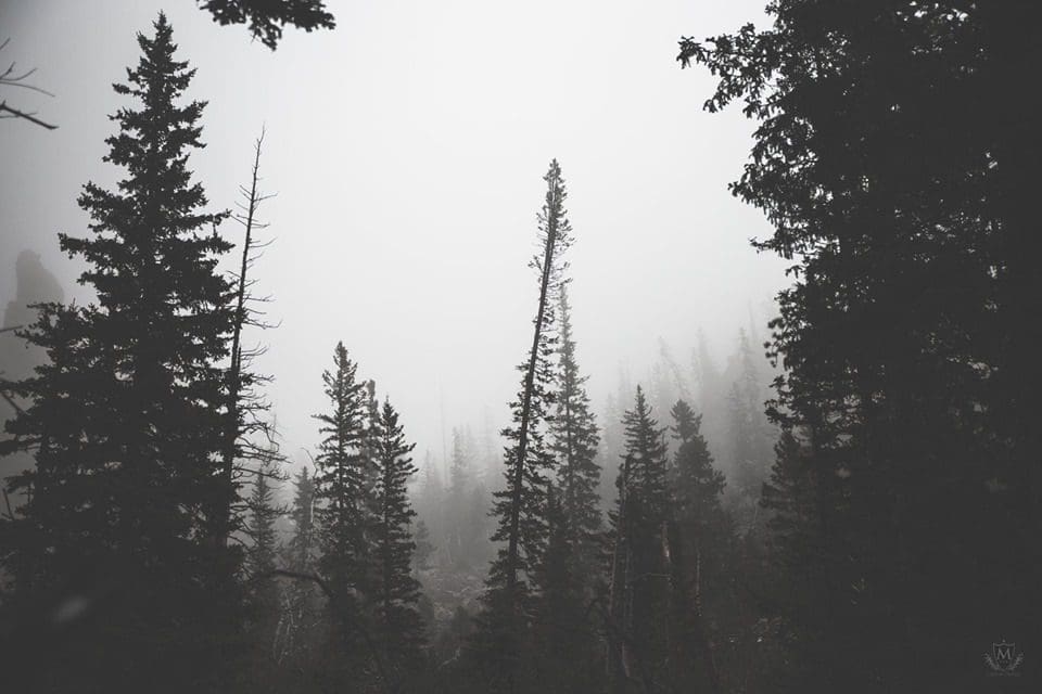 Get Out There: Black Hills 2019