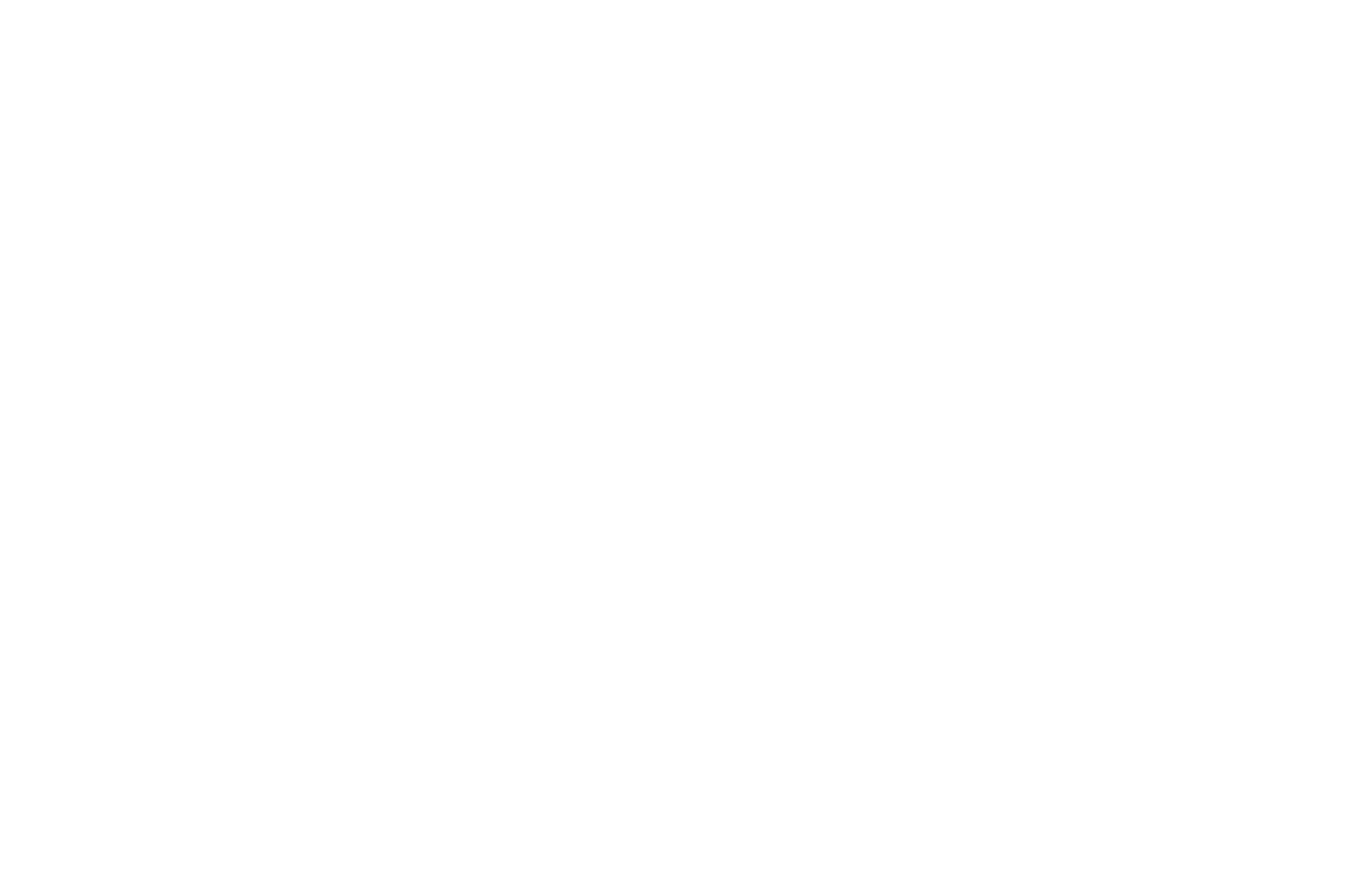 The District logo