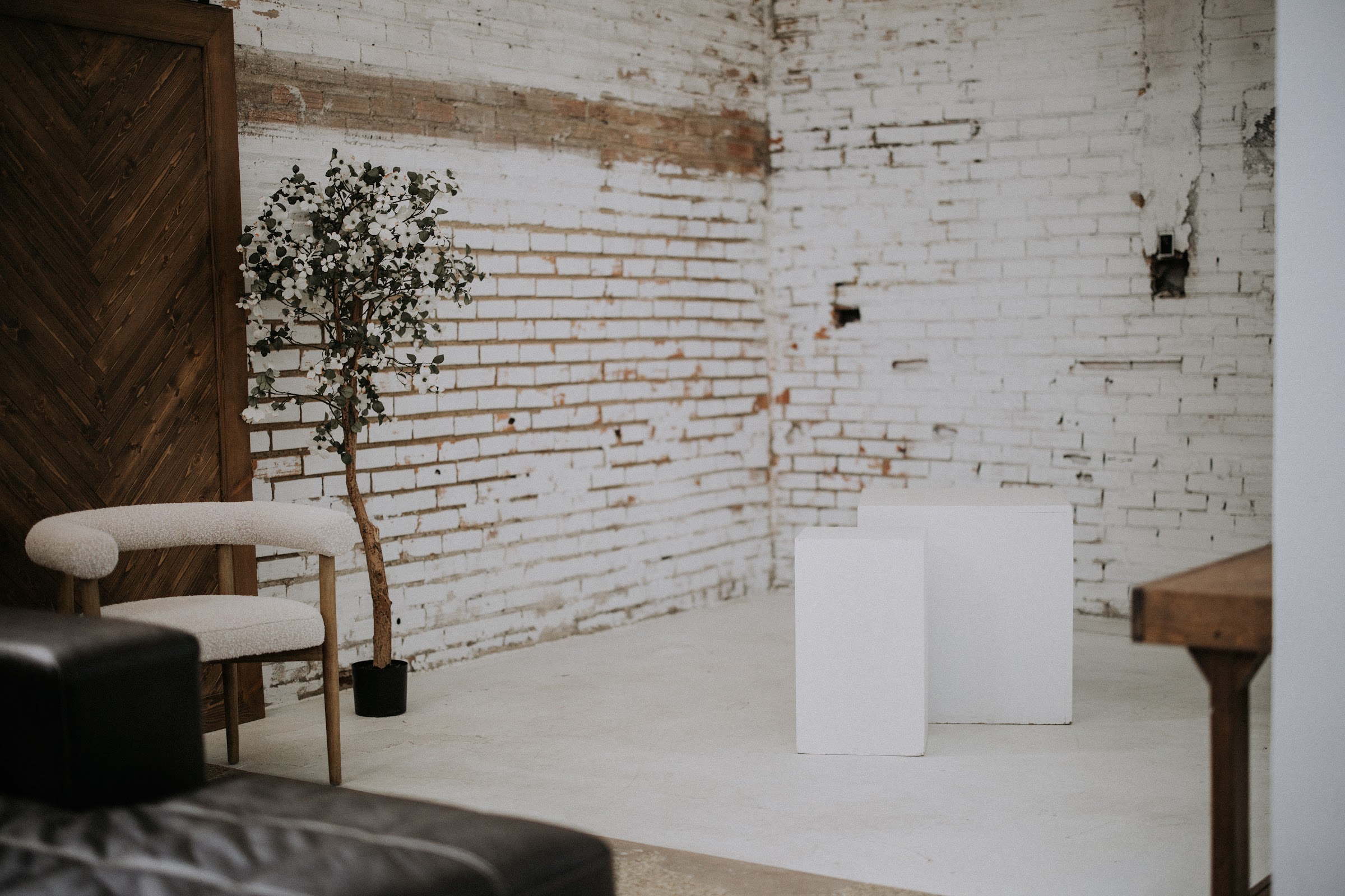 East Studio photography — frame 8 of 58