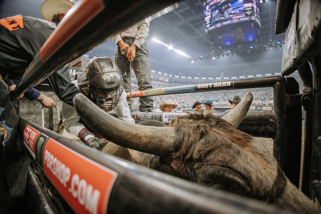 Michael Woolheater Media